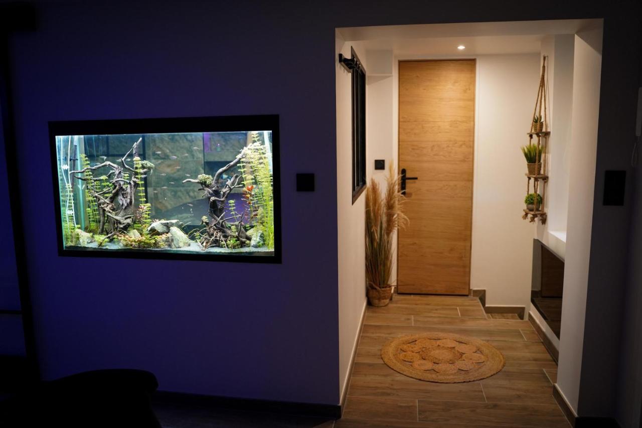 Nuit De La Sagesse "Jacuzzi Terrasse Et Parking Prive" Apartment Rouen Ngoại thất bức ảnh